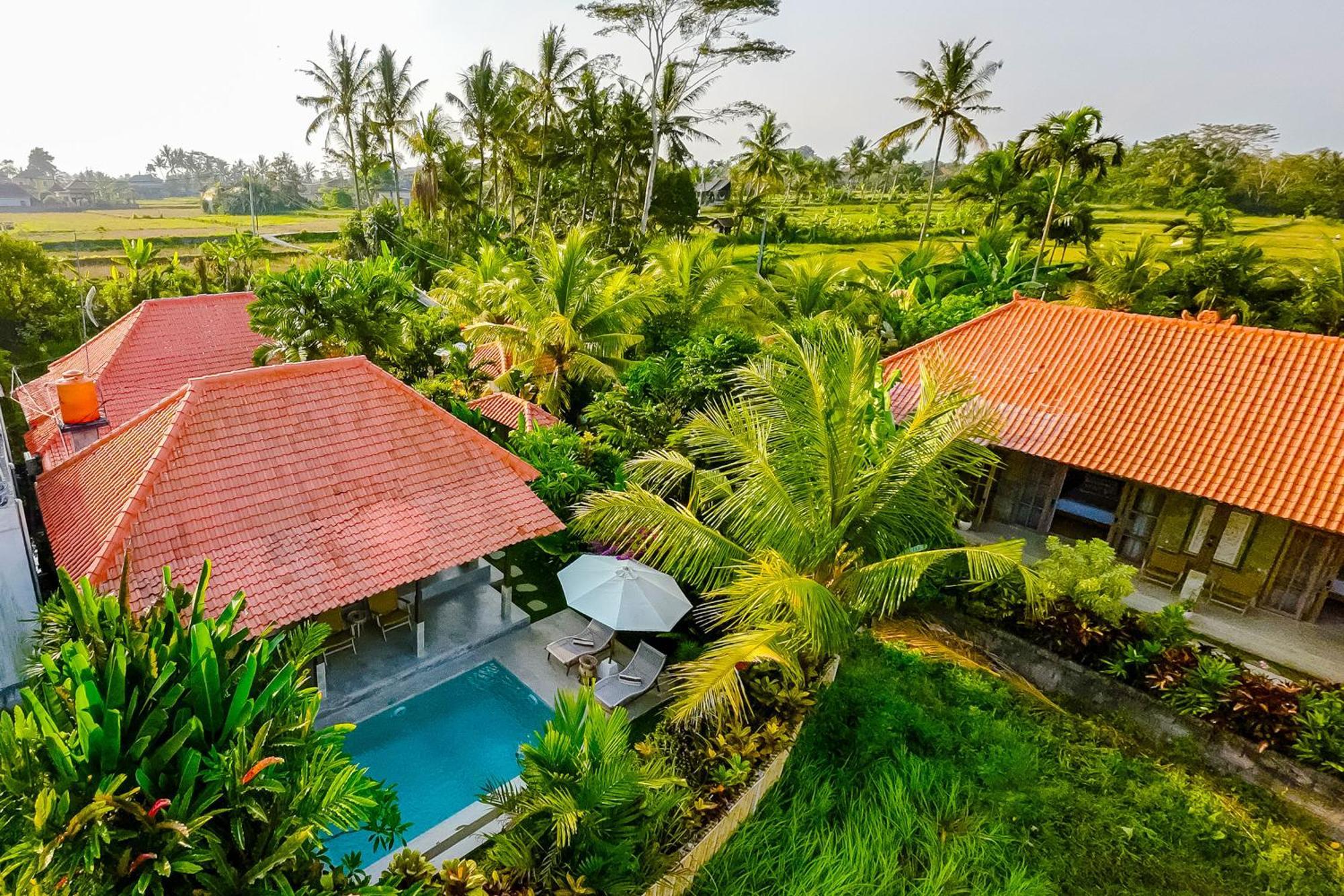 Nyaman Villas By Evdekimi Ubud Zewnętrze zdjęcie