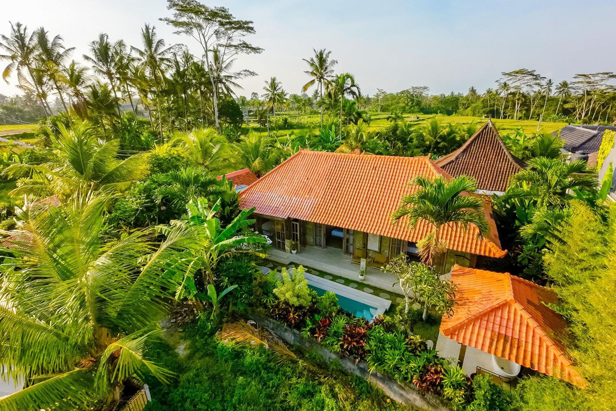 Nyaman Villas By Evdekimi Ubud Zewnętrze zdjęcie